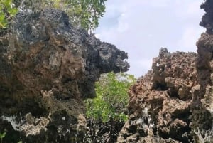 ZANZIBAR: Blue Safaris + aventura completa, mergulho com snorkel + almoço