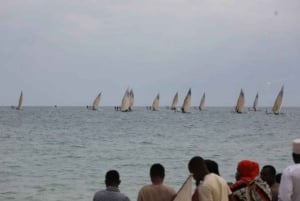 Stone Town, The Rock Restaurant, bosque de Jozani y cueva de Salam