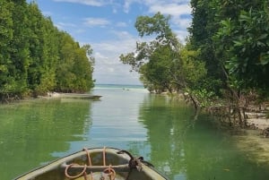 Zanzibar: Butterfly Garden & Mangroves Kayaking Tour at Uzi.