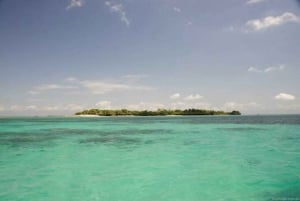 Zanzibar: Chapwani Island Sunset & Giant Bat Watching Tour