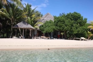Zanzibar: Chapwani Island Sunset & Giant Bat Watching Tour