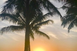 Zanzibar: Chapwani Island Sunset & Giant Bat Watching Tour