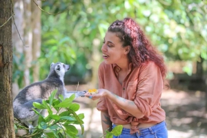 Zanzibar: tour di Cheetah Rock Wildlife e VIP Otters Experience