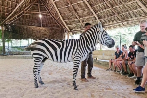 Zanzibar: tour di Cheetah Rock Wildlife e VIP Otters Experience