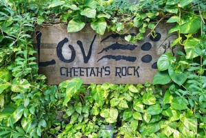 Zanzibar: tour di Cheetah Rock Wildlife e VIP Otters Experience