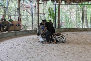 Zanzibar: tour di Cheetah Rock Wildlife e VIP Otters Experience