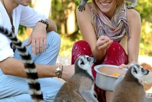 Zanzibar: Möt geparden på klippan och VIP-uttersafari