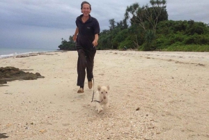 Zanzibar: Möt geparden på klippan och VIP-uttersafari