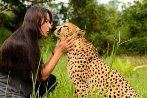Sisään Zanzibarin villieläinten maailmaan: Gepardin kallio ja VIP-saarikarhu