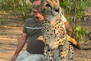 Sisään Zanzibarin villieläinten maailmaan: Gepardin kallio ja VIP-saarikarhu