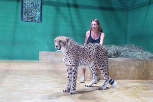 Sisään Zanzibarin villieläinten maailmaan: Gepardin kallio ja VIP-saarikarhu