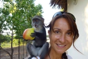 Sisään Zanzibarin villieläinten maailmaan: Gepardin kallio ja VIP-saarikarhu