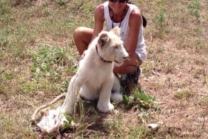 Sisään Zanzibarin villieläinten maailmaan: Gepardin kallio ja VIP-saarikarhu