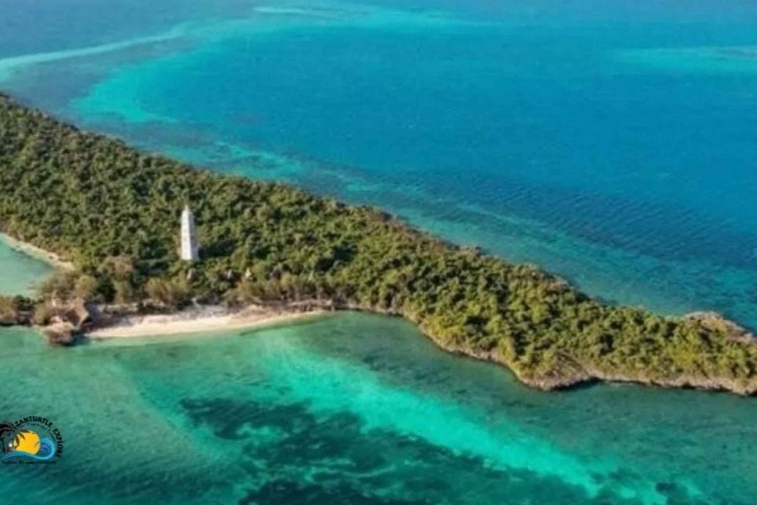 Zanzibar: Chumbe koralrevstur med snorkling