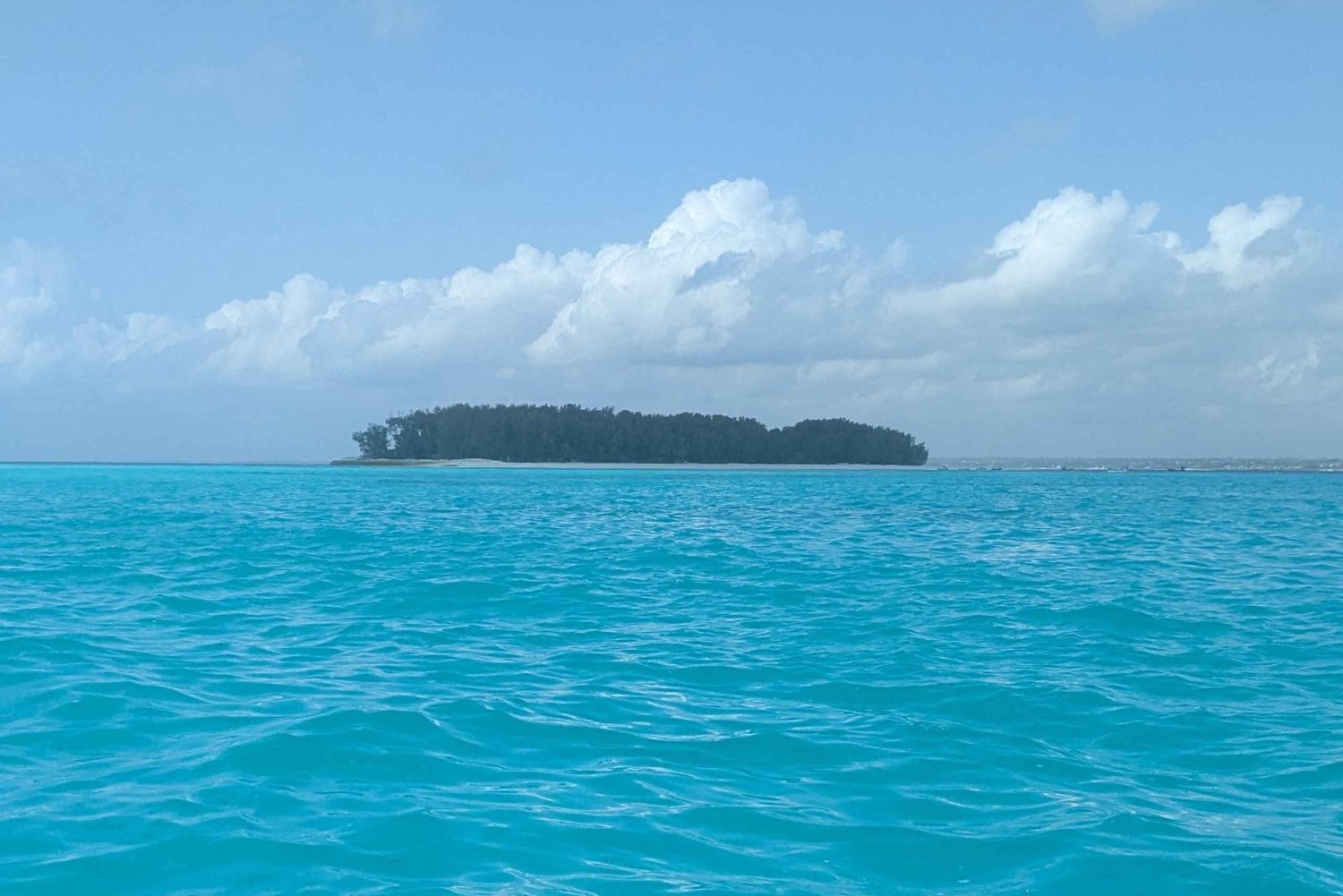 Zanzibar: Chumbe Island Coral Park Day Trip with Lunch