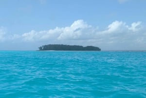 Zanzibar: Chumbe Island Coral Park Day Trip with Lunch