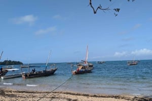 Zanzibar: Chumbe Island Coral Park Day Trip with Lunch