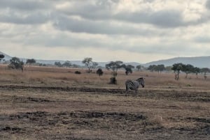 Zanzibar: Chumbe Island Coral Park Day Trip with Lunch