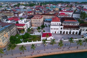 Zanzibar : aventure en tuktuk de jour avec un guide de la région