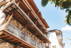Zanzibar City: Guidad tur i stadsdelen Stone Town