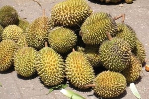 Miasto Zanzibar: wycieczka po farmie przypraw