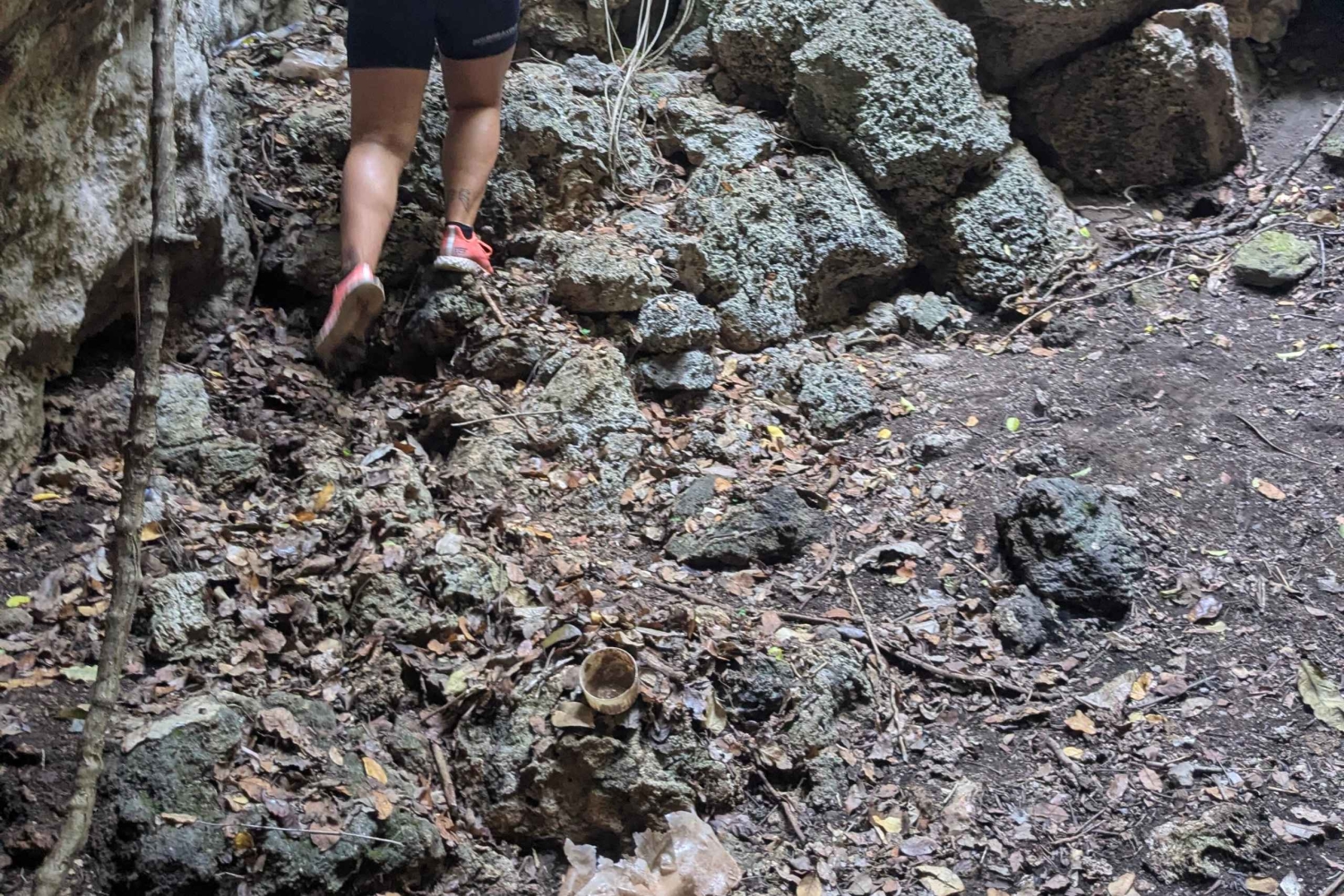 Tour de la ciudad de Zanzíbar y cueva con pozo de agua subterráneo