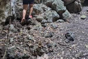 Tour de la ciudad de Zanzíbar y cueva con pozo de agua subterráneo