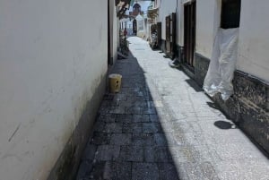 Tour de la ciudad de Zanzíbar y cueva con pozo de agua subterráneo
