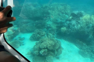 Занзибар Классик Риф Подводная лодка, морские впечатления Тур