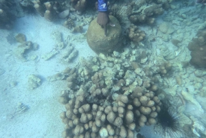 Занзибар Классик Риф Подводная лодка, морские впечатления Тур