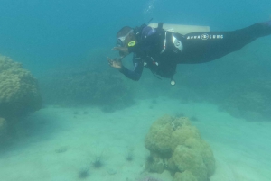 Занзибар Классик Риф Подводная лодка, морские впечатления Тур