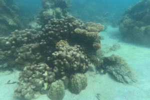 Занзибар Классик Риф Подводная лодка, морские впечатления Тур