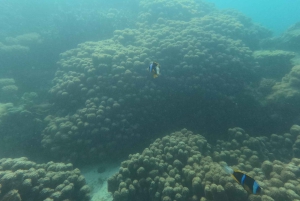 Занзибар Классик Риф Подводная лодка, морские впечатления Тур