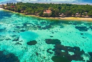 Zanzibar: Stone Town i Prison Island – prywatna wycieczka z lunchem