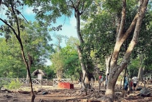 Zanzibar: Stone Town i Prison Island – prywatna wycieczka z lunchem