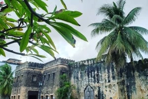 Zanzibar: Stone Town i Prison Island – prywatna wycieczka z lunchem