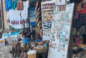 Zanzibar: merikilpikonnat ja Mtende Beach -kierros