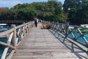 Zanzibar: merikilpikonnat ja Mtende Beach -kierros