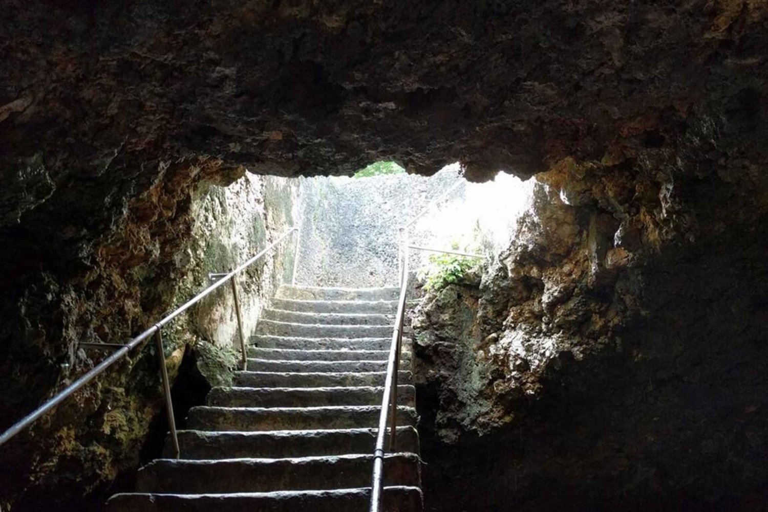 Zanzibar: Kokosnødsplantage, hule og ruiner-tur