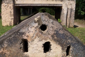 Zanzibar: tour della piantagione di cocco, della grotta e delle rovine