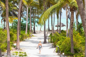 Zanzíbar: plantación de cocoteros, granja de arroz y visita a las cuevas