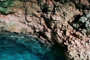 Zanzíbar: plantación de cocoteros, granja de arroz y visita a las cuevas