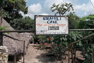 Zanzíbar: plantación de cocoteros, granja de arroz y visita a las cuevas