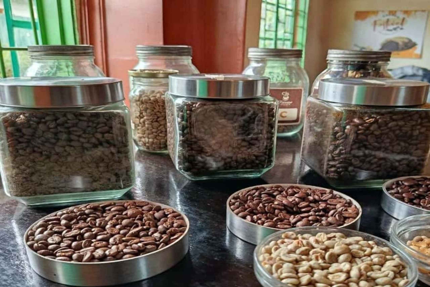 Sansibar: Kaffeefarm-Tour und Kajak-Abenteuer in den Mangroven