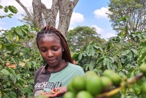 Zanzibar: Coffee Farm Tour & Transparent Kayak Adventure