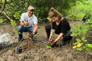 Zanzibar: Community Tree Planting & Eco-Farming Tour