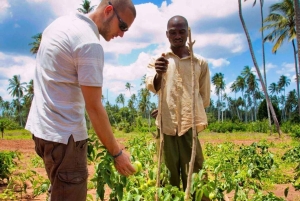 Zanzibar: Community Tree Planting & Eco-Farming Tour