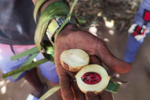 Zanzibar : Cours de cuisine traditionnelle à Zanzibar avec visite des épices