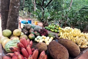 Zanzibar : Cours de cuisine traditionnelle à Zanzibar avec visite des épices