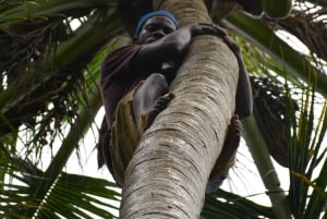 Zanzibar : Cours de cuisine traditionnelle à Zanzibar avec visite des épices